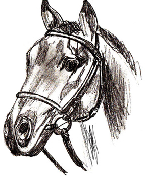 Учимся рисовать - Голову Лошади - «Рисование карандашом»