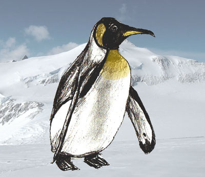 Учимся рисовать - Пингвина - «Рисование карандашом»