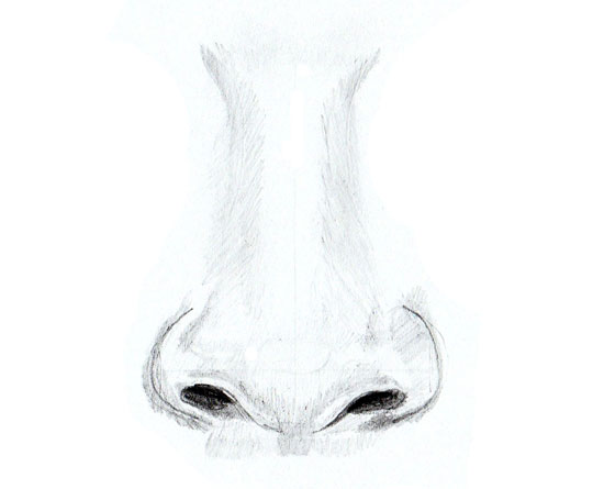 Учимся рисовать - Носа человека - «Рисование карандашом»
