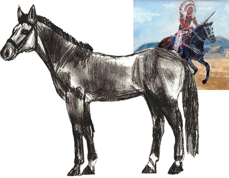 Учимся рисовать - Лошадь поэтапно - «Рисование карандашом»