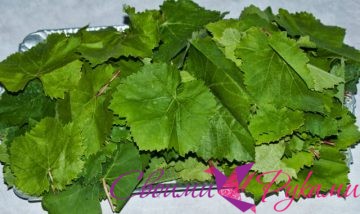 Как мариновать виноградные листья на зиму дома - «Рецепты маринования»