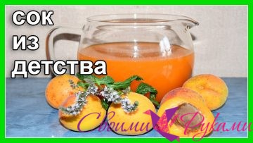 Как приготовить абрикосовый сок / Старинный бабушкин рецепт - «Рецепты соков»