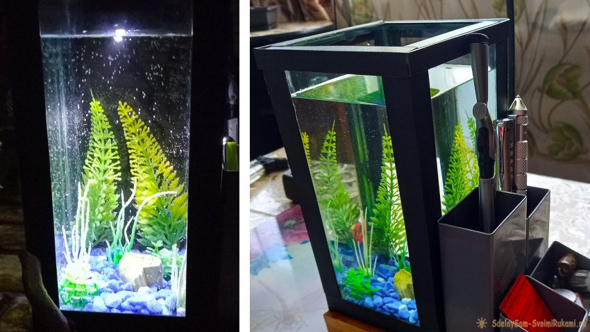 Как сделать настольный аквариум-органайзер с подсветкой - «Своими Руками»